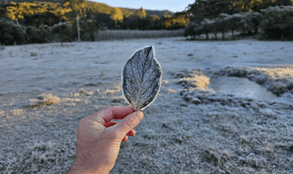 Rio congelado: Bom Jardim da Serra (SC) registra sensação térmica de -10°C