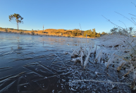 Frio intenso: cidade de SC amanhece com rios congelados e neve em gramados