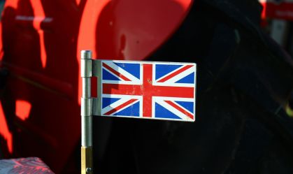 Escola internacional, bilíngue ou com inglês: entenda as diferenças