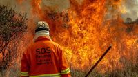 Pantanal é o bioma mais atingido por incêndios em 40 anos