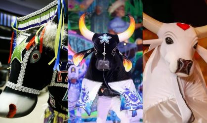 Entenda as diferenças entre o Boi-Bumbá e o Bumba Meu Boi