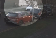Vídeo: grávida é atacada por cachorros em Curitiba