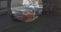 Vídeo: grávida é atacada por cachorros em Curitiba