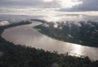 Dia do Meio Ambiente: ONG retorna a território do Amazonas 25 anos depois