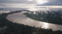 Dia do Meio Ambiente: ONG retorna a território do Amazonas 25 anos depois