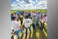 PF cumpre reintegração de posse em área de conflito no Sul da Bahia