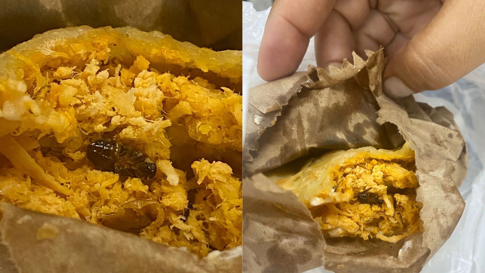 “Jovem Horrorizado: Descobre Barata VIVA a Degustar Pastel em Copacabana!” #ÚltimasNotícias #Portugal “Jovem Horrorizado: Descobre Barata VIVA a Degustar Pastel em Copacabana!” #ÚltimasNotícias #Portugal