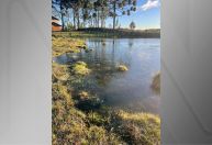 Frio congela lago no RS; Mínima foi de -4,9 ºC nos Campos de Cima da Serra