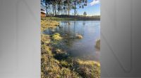 Frio congela lago no RS; Mínima foi de -4,9 ºC nos Campos de Cima da Serra