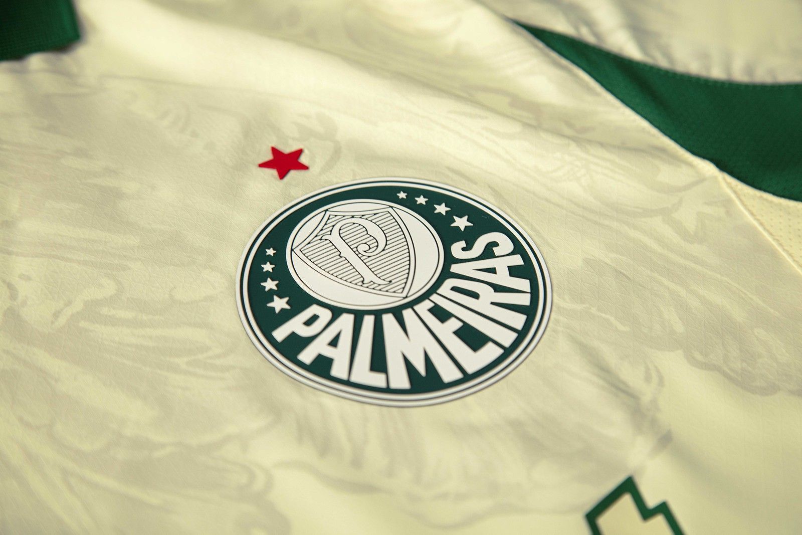 Detalhe no escudo palmeirense
