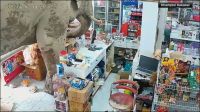 Elefante invade loja e "rouba" comida na Tailândia; veja vídeo