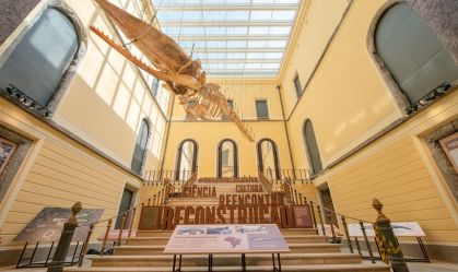 Museu Nacional reabre pela 1ª vez após 7 anos; veja como ficou