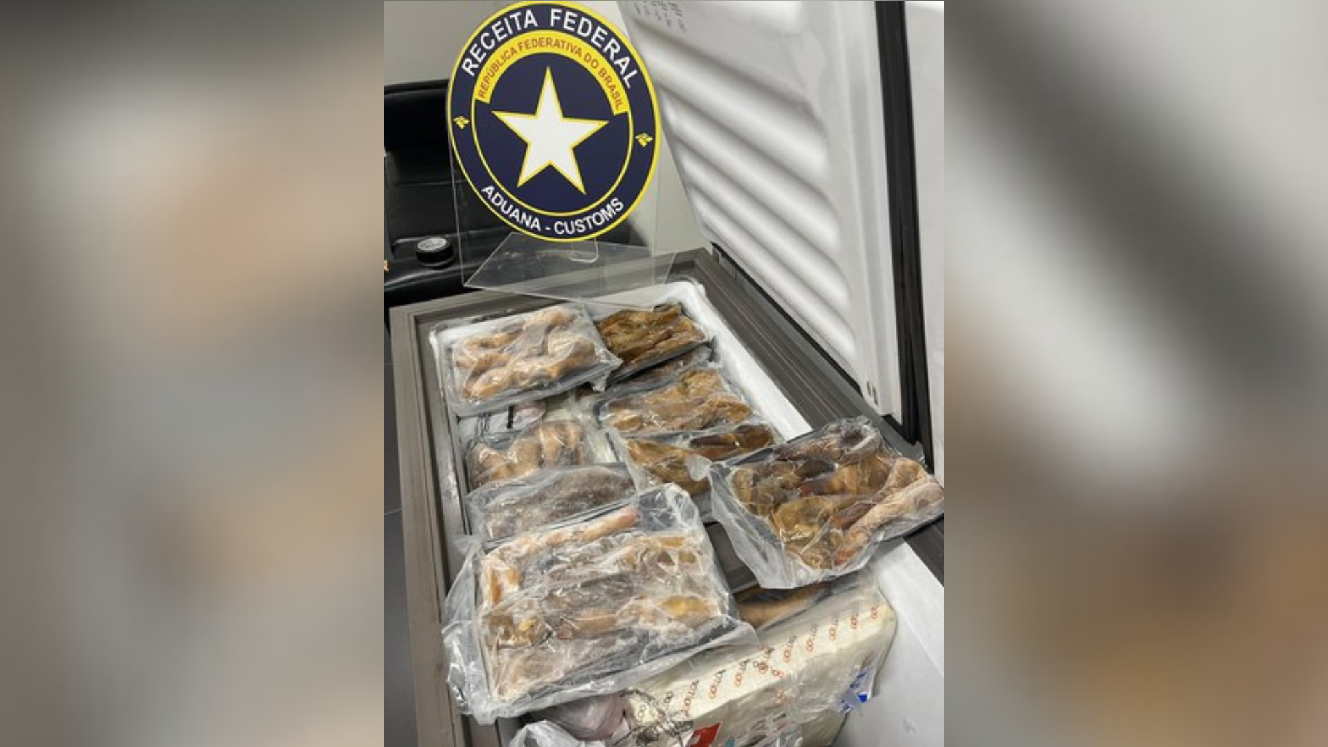 Imagem mostra carga de moluscos aprendidos no Aeroporto de Foz do Iguaçu