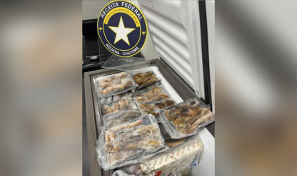 Receita Federal apreende moluscos escondidos em carga de salmão no PR