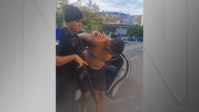 RJ: envolvidos em tentativa de latrocínio contra policial civil são presos