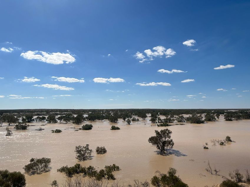 Uma imagem recente mostra as águas da enchente atravessando a bacia do Lago Eyre. "Há esperança", diz Annemarie van Doorn, cogerente do Santuário de Vida Selvagem Kalamurina • Dr Annemarie van Doorn via CNN Newsource