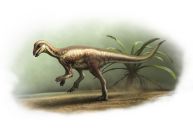 Dinossauro do tamanho de um cão é identificado a partir de fóssil raro