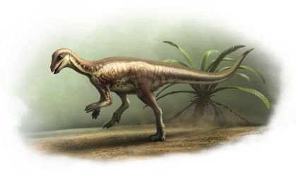 Dinossauro do tamanho de um cão é identificado a partir de fóssil raro