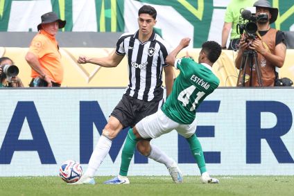 Palmeiras e Botafogo pelo Mundial de Clubes