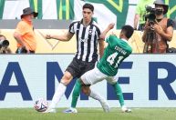 Palmeiras provoca após classificação no Mundial: "Botafogo é bairro"