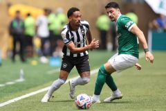 Palmeiras x Botafogo pela Copa do Mundo de Clubes no Estadio Stadium Lincoln Financial Field . 28 de Junho de 2025, Philadelphia, Estados Unidos