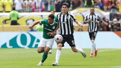 Palmeiras x Botafogo pela Copa do Mundo de Clubes no Estadio Stadium Lincoln Financial Field . 28 de Junho de 2025, Philadelphia, Estados Unidos