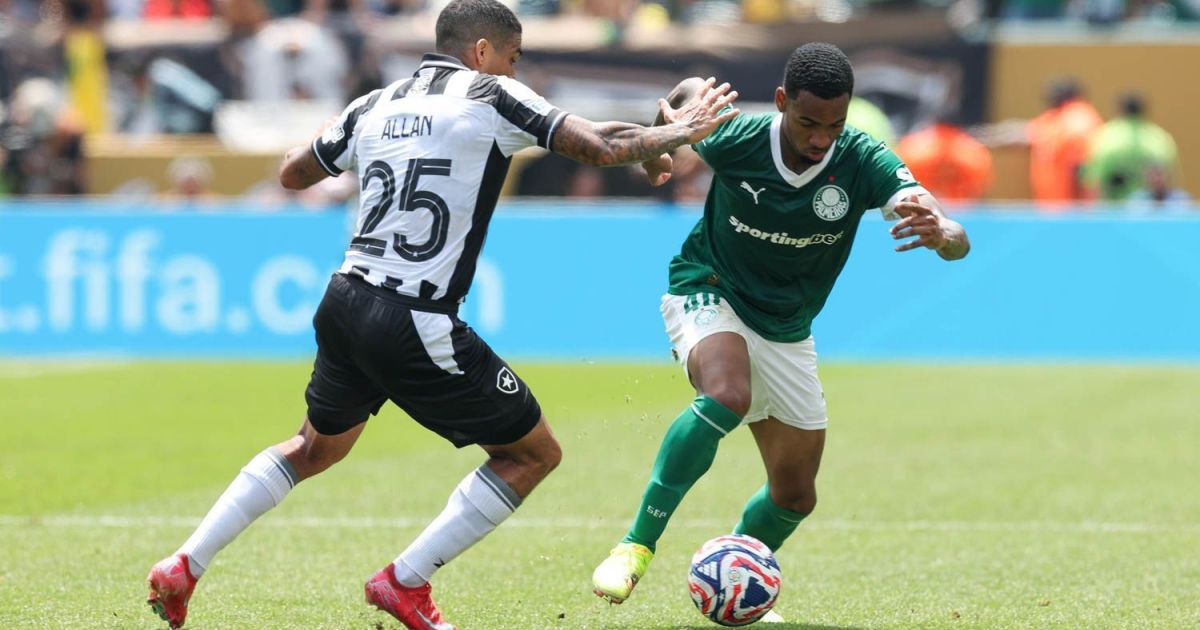 Palmeiras x Botafogo: veja quem foi eleito o melhor em campo | CNN Brasil