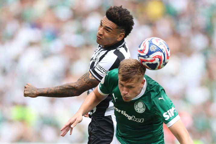 Palmeiras x Botafogo pela Copa do Mundo de Clubes no Estádio Stadium Lincoln Financial Field . 28 de Junho de 2025, Philadelphia, Estados Unidos • Foto: Vitor Silva/Botafogo