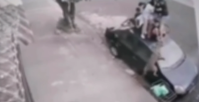Vídeo: pitbull ataca crianças e morde menina no interior de São Paulo