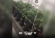 SP: Princípio de incêndio atinge casa e PM descobre plantação de maconha