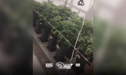 SP: Princípio de incêndio atinge casa e PM descobre plantação de maconha