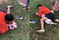 Vídeo: lutador de muay thai imobiliza dois pitbulls após ser atacado em MS
