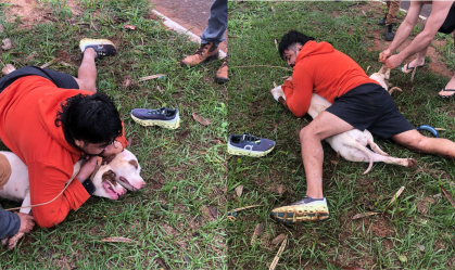 Vídeo: lutador de muay thai imobiliza dois pitbulls após ser atacado em MS