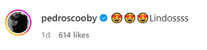 Pedro Scooby comentou em publicação de Paulo André • Instagram/Paulo André