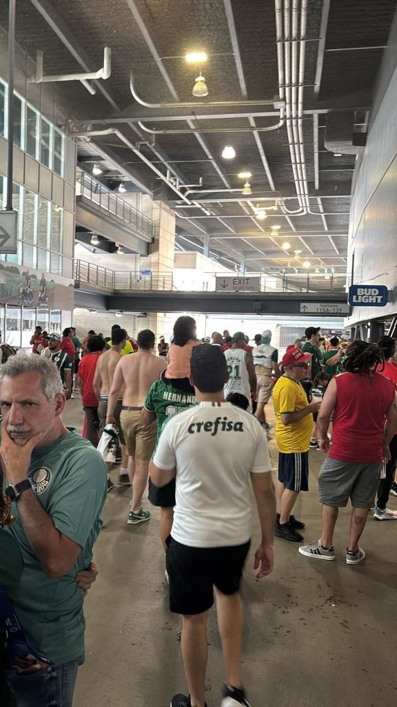 Torcedores do Palmeiras aguardam enquanto jogo retorna