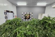 Pernambuco: Homem é preso com maconha suficiente para 115 anos de consumo
