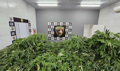 Pernambuco: Homem é preso com maconha suficiente para 115 anos de consumo