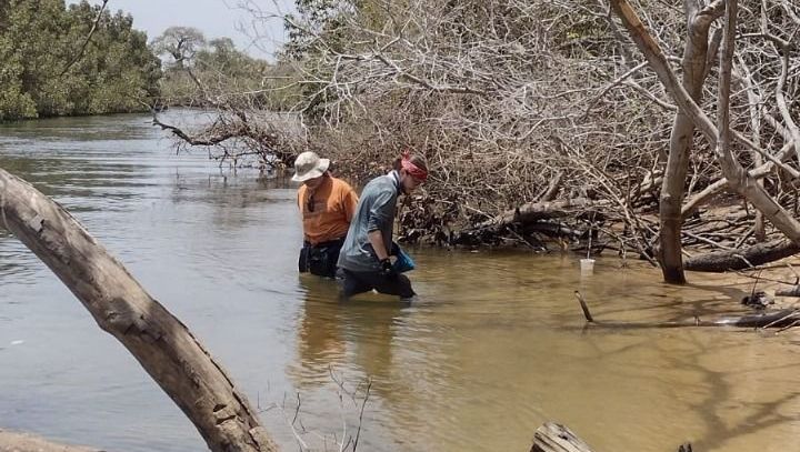 Imagem mostra os pesquisadores no mar de Gâmbia coletando os moluscos e concha