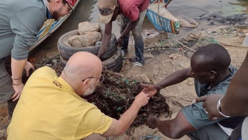 Imagem mostra os pesquisadores no mar de Gâmbia coletando os moluscos e concha