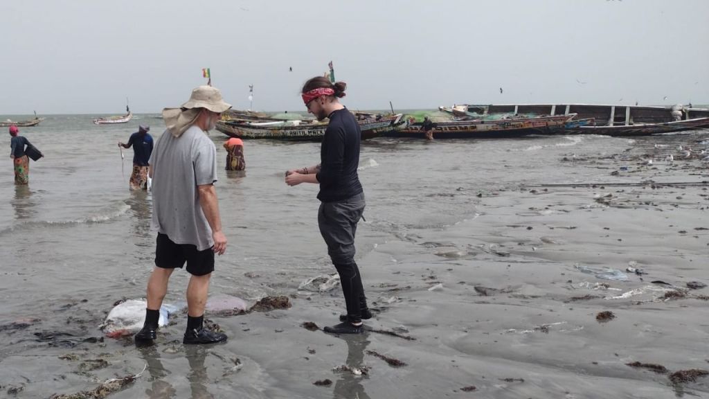 Imagem mostra os pesquisadores no mar de Gâmbia coletando os moluscos e concha
