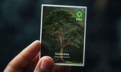 Vale promove ação educativa com álbum de árvores antes da COP30 em Belém