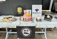 Boneca do tráfico: polícia faz apreensão de drogas em Florianópolis
