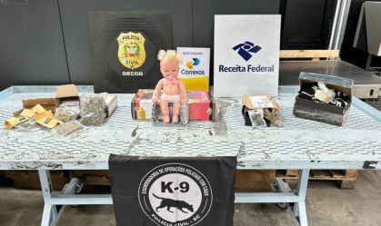 Boneca do tráfico: polícia faz apreensão de drogas em Florianópolis