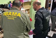 Polícia desarticula tráfico internacional de animais em quatro estados