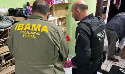 Polícia desarticula tráfico internacional de animais em quatro estados