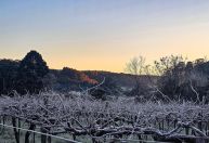 Onda de frio: mais de 10 cidades gaúchas registram temperaturas negativas