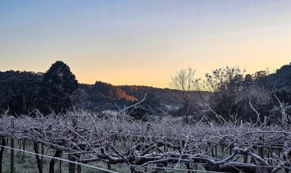 Onda de frio: mais de 10 cidades gaúchas registram temperaturas negativas