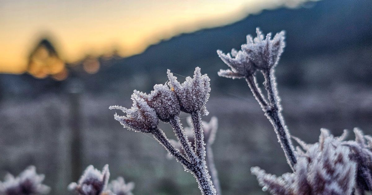 Frente fria derruba temperaturas e mais de 20 cidades ficam abaixo de zero