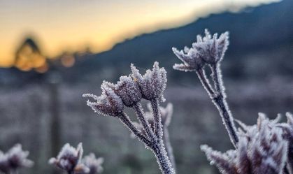 Em pico da onda de frio, geadas atingem Sul e Sudeste do país