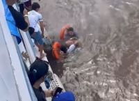 Turista se joga de barco a caminho de Parintins e "quase desaparece"; veja